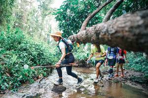 BIB: 
                            <button type="button" onclick="openModal(25372799)" class="btn btn-primary btn-sm float-right btn-popup" data-toggle="modal" data-target=".modal-high-quality">
                        <i class="fas fa-shopping-cart"></i> Add to Cart
                    </button>
                                            <button type="button" onclick="isThisMe(25372799, true)" class="btn btn-success btn-sm float-right btn-popup btn-isme hidden" data-toggle="tooltip" data-placement="bottom" title="นี่คือรูปของคุณใช่ไหม คลิกที่นี่เพื่อเอาเข้าอัลบั้ม">
                        <i class="fas fa-plus"></i> Add to album
                    </button>
                    <button type="button" onclick="isThisMe(25372799, false)" class="btn btn-warning btn-sm float-right btn-popup btn-isnotme hidden">
                        <i class="fas fa-ban"></i> Remove from album
                    </button>